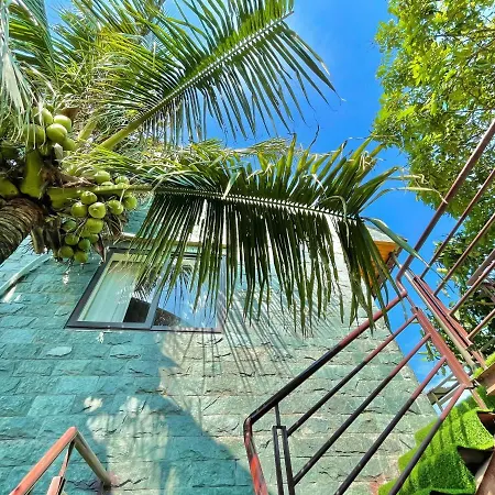 Hang Mua Nature Homestay Ninh Binh Exterior photo