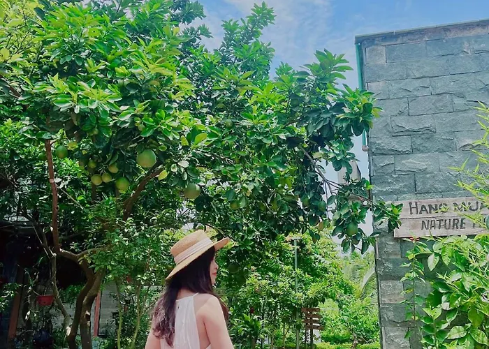 Hang Mua Nature Homestay