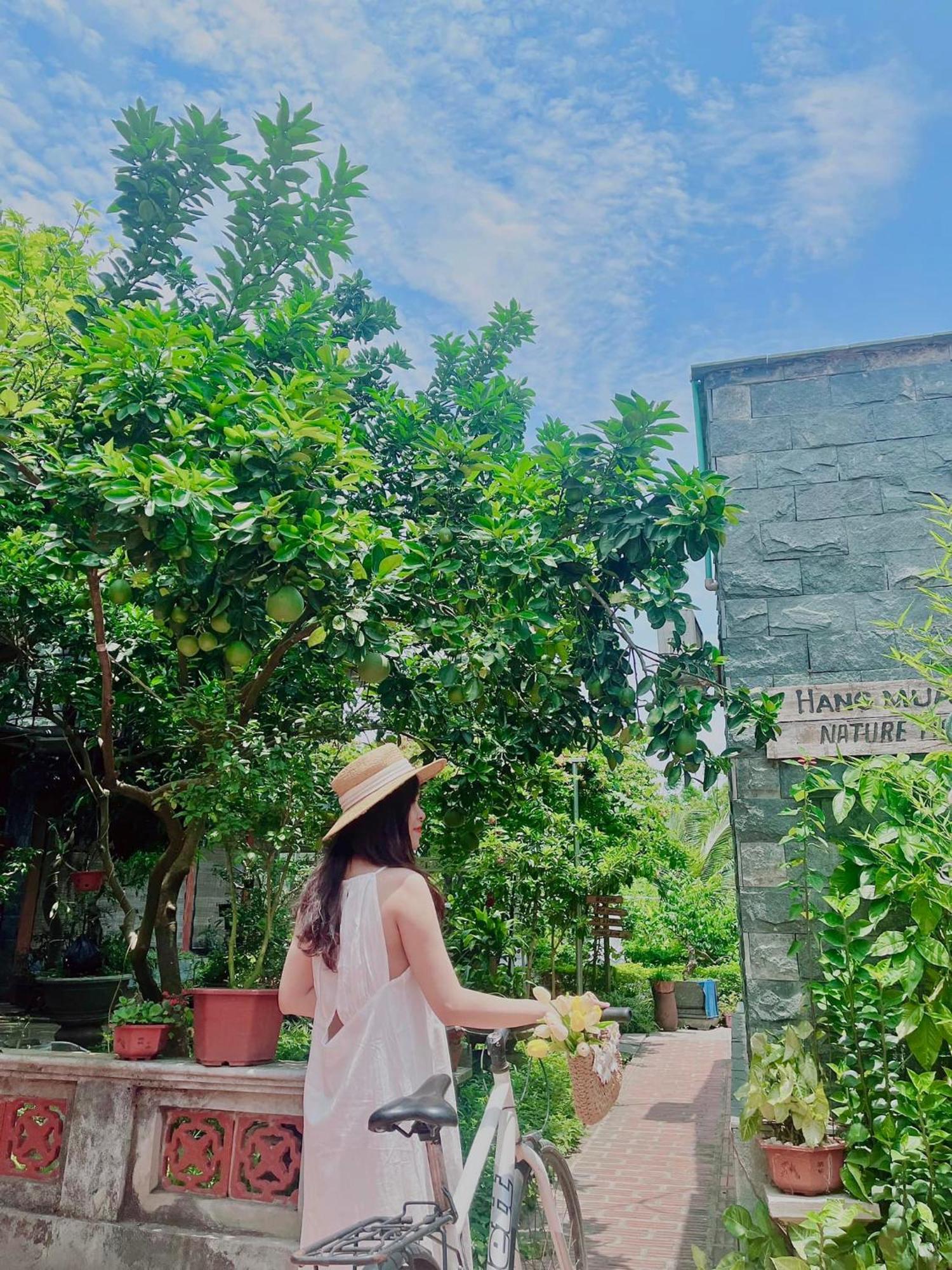 Hang Mua Nature Homestay