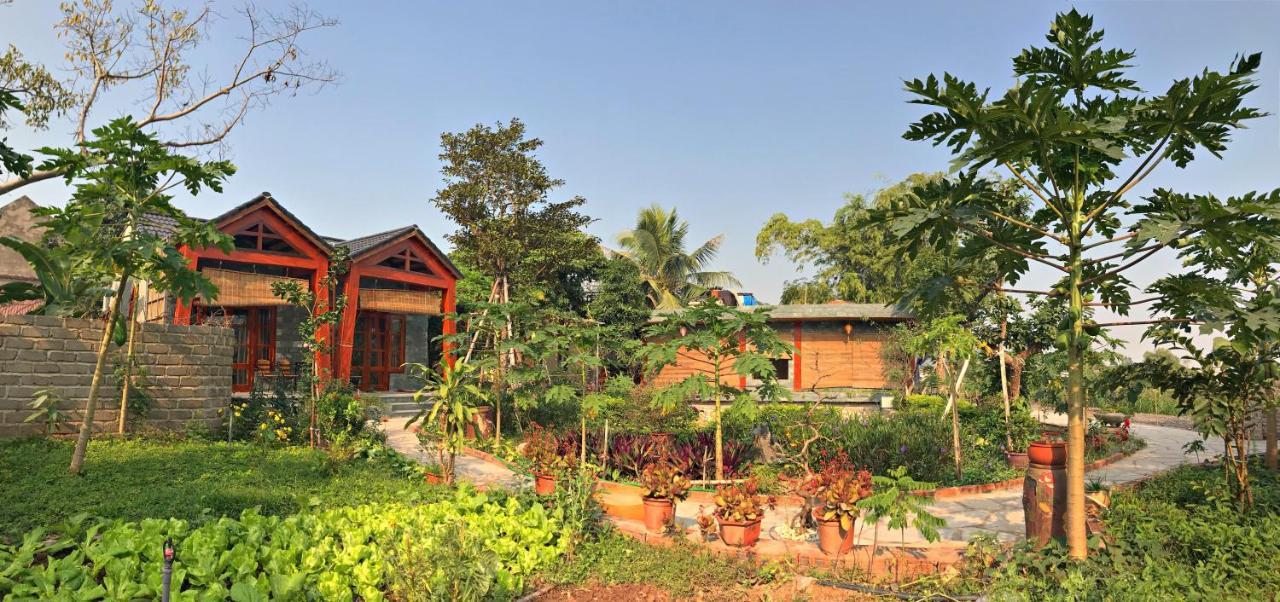 Homestay Hang Mua Nature